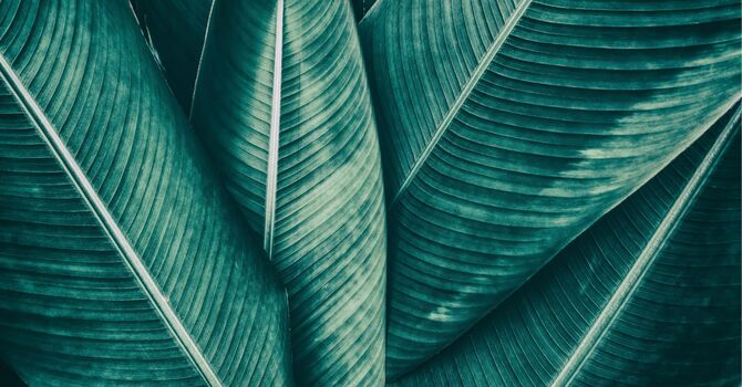 What Is Inclusive Couples Counseling? A Guide to Online & Virtual Support