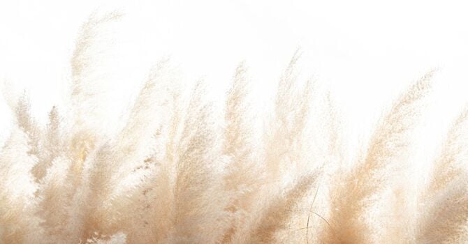 What Is Inclusive Couples Counseling? A Guide to Online & Virtual Support